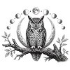 Mondlicht Eulenmandala Rund