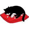 gatto_cucciolo_nero_dorme_su_un_cuscino_inverna