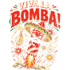 Viva la Bomba – Feuerwerk Silvester