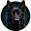Schwarzer Schäferhund