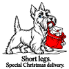 Scottish Terrier liefert Weihnachtsbriefe