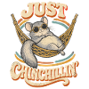  Just Chinchillin Retro Chinchilla Hammock