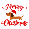 Dackel mit Weihnachtsmütze