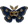 Goldener Venezianer Schmetterling