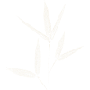 Bambus Botanischer Blätterdruck