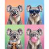 Koalas Koala