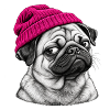 Pug im Pink Beanie