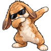 Dabbing-Teddykaninchen