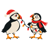 Weihnachts-Papageitaucher – Weihnachten