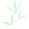 Bambus / Botanische Blätter - 