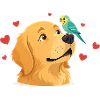 Herzfreund Hund und Papagei