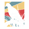 Taube Taubenjagd
