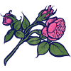 Rosa Rose mit neonblauer Kontur