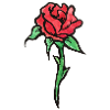 Crimson Rose Aquarell-Skizze