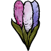 Pastell-Baumwollblumen-Trio
