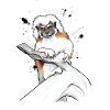 Lemur auf Ast 