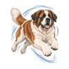 St. Bernhard