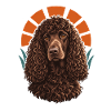 Irish Water Spaniel