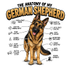 Deutscher Schäferhund Hundehalter T Schäferhund 