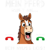 Lustiges Pferdemädchen & Reiter Spruch Geschenke