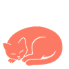 Schlafende Katze – Nope