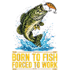 Pêcheur, Pêcheur, Fisch, Angeln