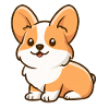 Corgi