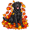 Schwarzer Labrador im Laubzauber