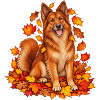 Harzer Fuchs im Herbstlaub