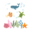 Wal Unterwasser Kinder Nautilus