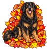 Hovawart im Herbstlaub