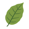 Buchenblatt Pflanze Geschenkidee Illustration