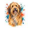 Katalanischer Schäferhund