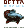 Betta, fighting Fishes