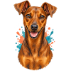 Deutscher Pinscher