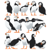 Mehr Puffin-Freunde
