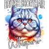 Britisch Kurzhaar Katze Flüsterer