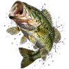 Fisch, Angeln, Fischer