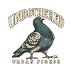 Unbothered Urban Pigeon Lustige Stadttaube