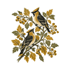 Herbstliche Zweigsänger Illustration