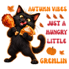 Herbststimmung: Hungriger schwarzer Katzen-Gremlin