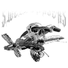 Skull_Swell_Chasers