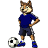 Fussball Wolf Blau