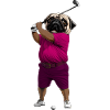Hund Mops Golf