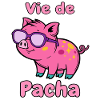 Leben von Pacha Pig Glam