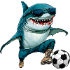 Fussball Hai Fisch