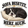 Schlafender_Staffbull__Sofa_besetzt-_Herz_auch-