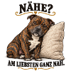 Staffordshire_Bullterrier_ganz_nah-2