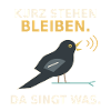 Kurz stehen bleiben – Amsel