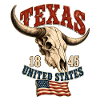 Texas Skull USA Flag